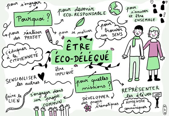 etre eco delegue.jpg