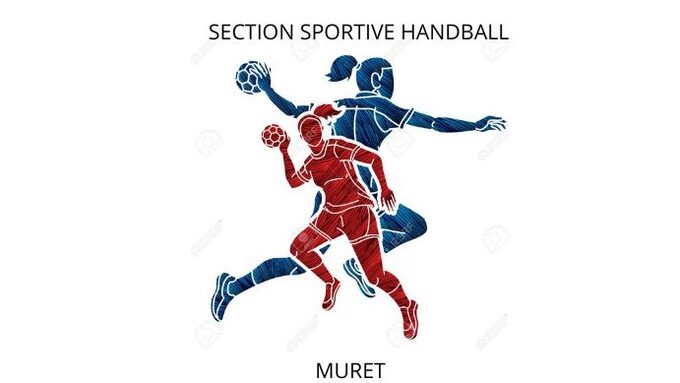LOGO SECTION SPORTIVE HANDBALL (ENT).jpg.jpeg